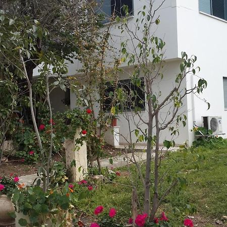 Kibbutz Nachshon Bed & Breakfast Luaran gambar