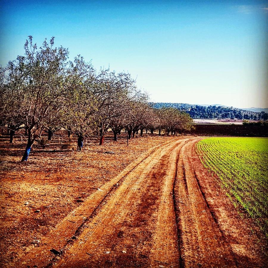 Kibbutz Nachshon Bed & Breakfast Luaran gambar