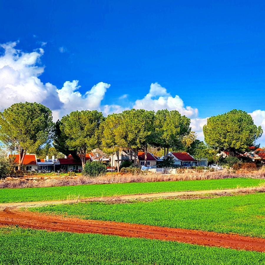 Kibbutz Nachshon Bed & Breakfast Luaran gambar