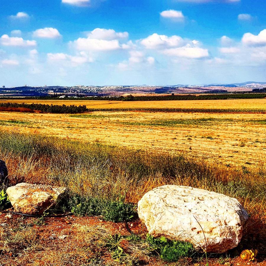 Kibbutz Nachshon Bed & Breakfast Luaran gambar