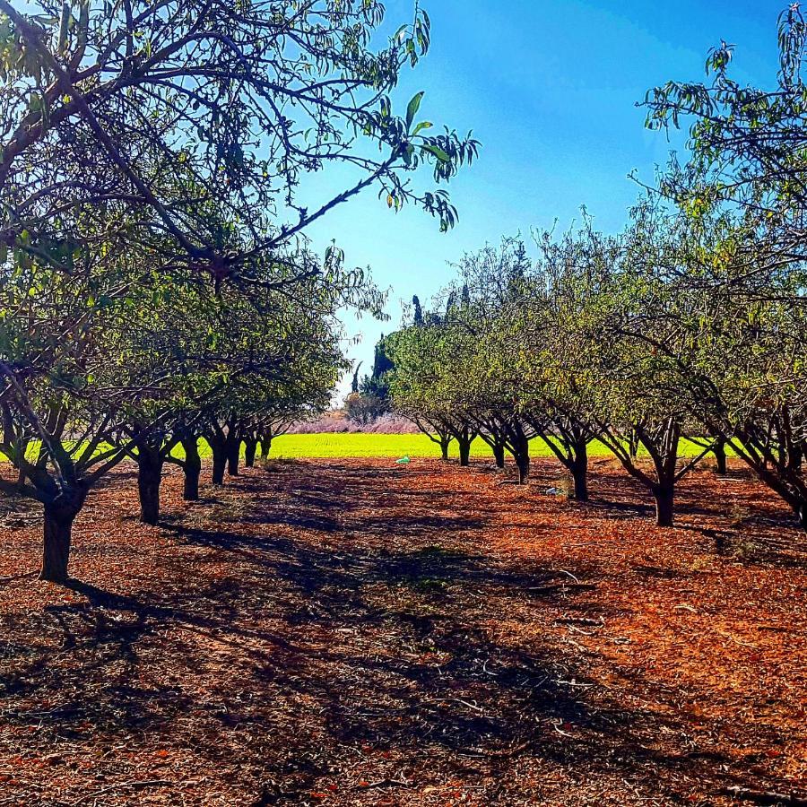 Kibbutz Nachshon Bed & Breakfast Luaran gambar