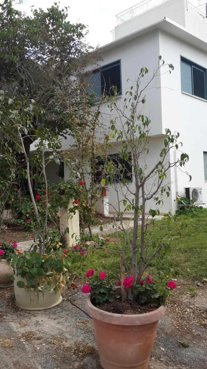 Kibbutz Nachshon Bed & Breakfast Luaran gambar